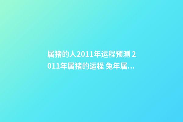 属猪的人2011年运程预测 2011年属猪的运程 兔年属猪人2011年运势 兔年属猪生肖每月运势